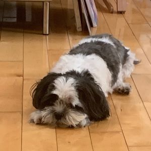 Meet your Posher, Jackie